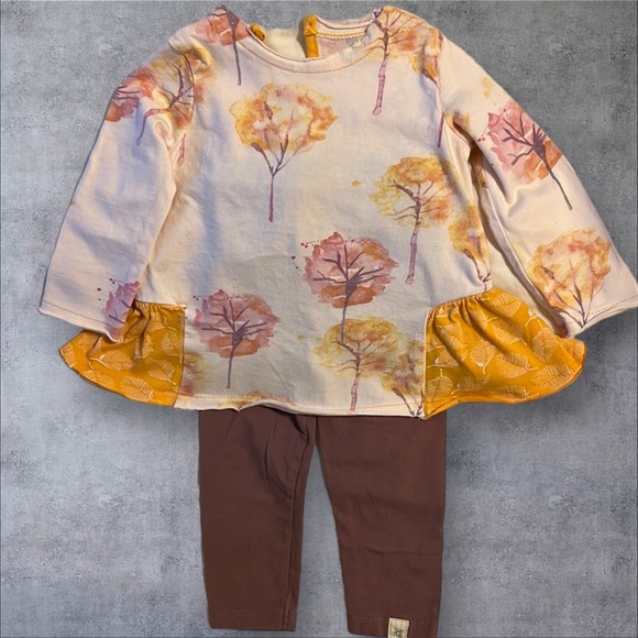 Burt's Bees Baby Other - Burt’s Beess Baby Tunic & Pant Set